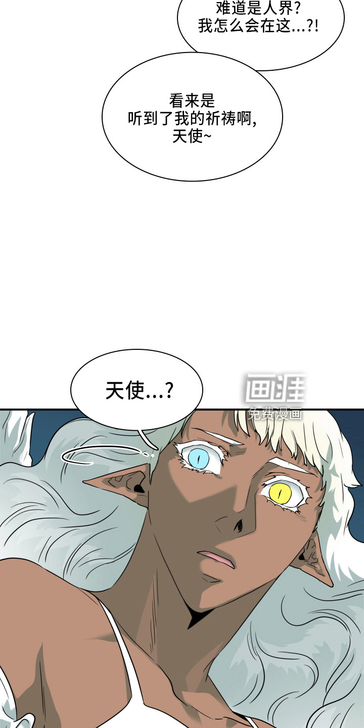 第267话 第5页