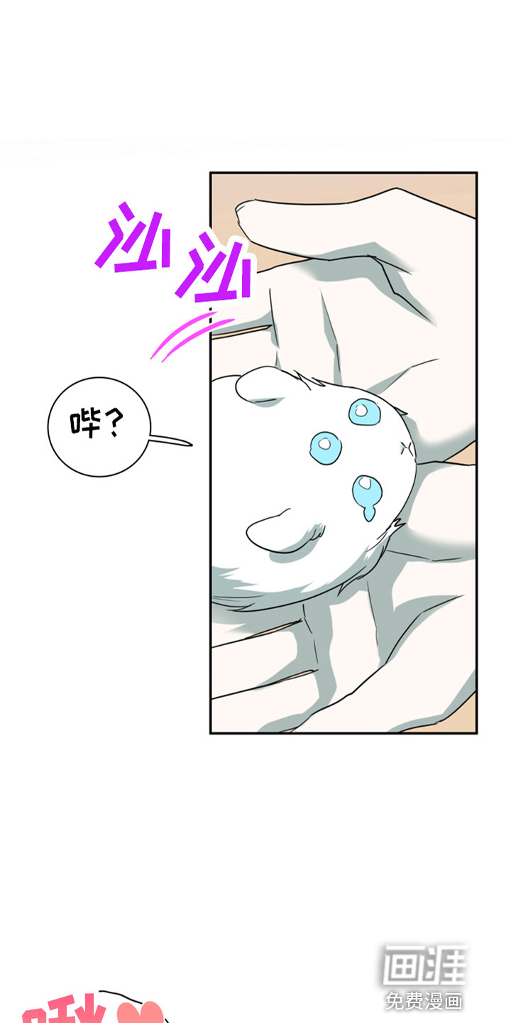 第265话 第5页