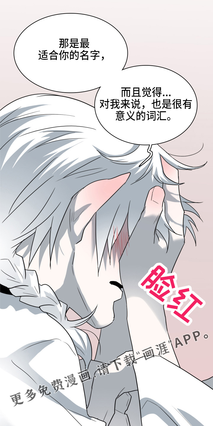 第264话 第13页
