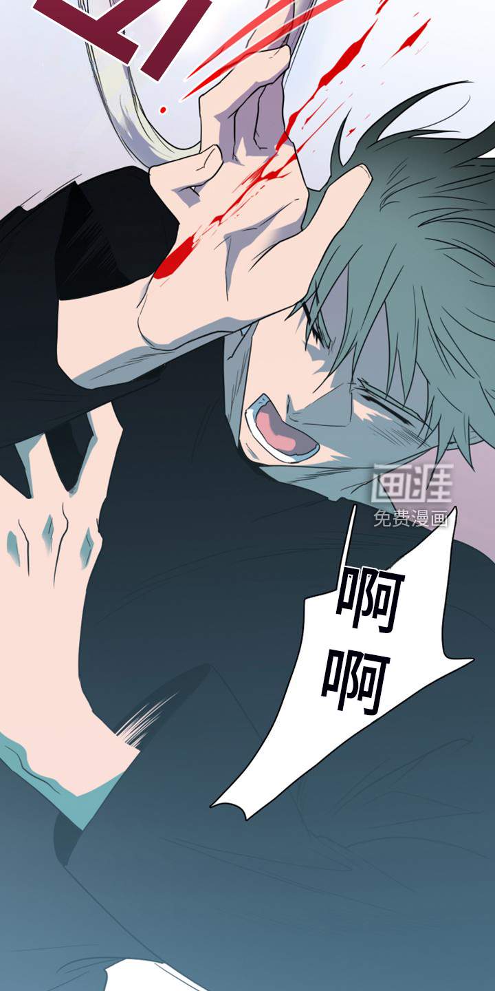 第257话 第28页
