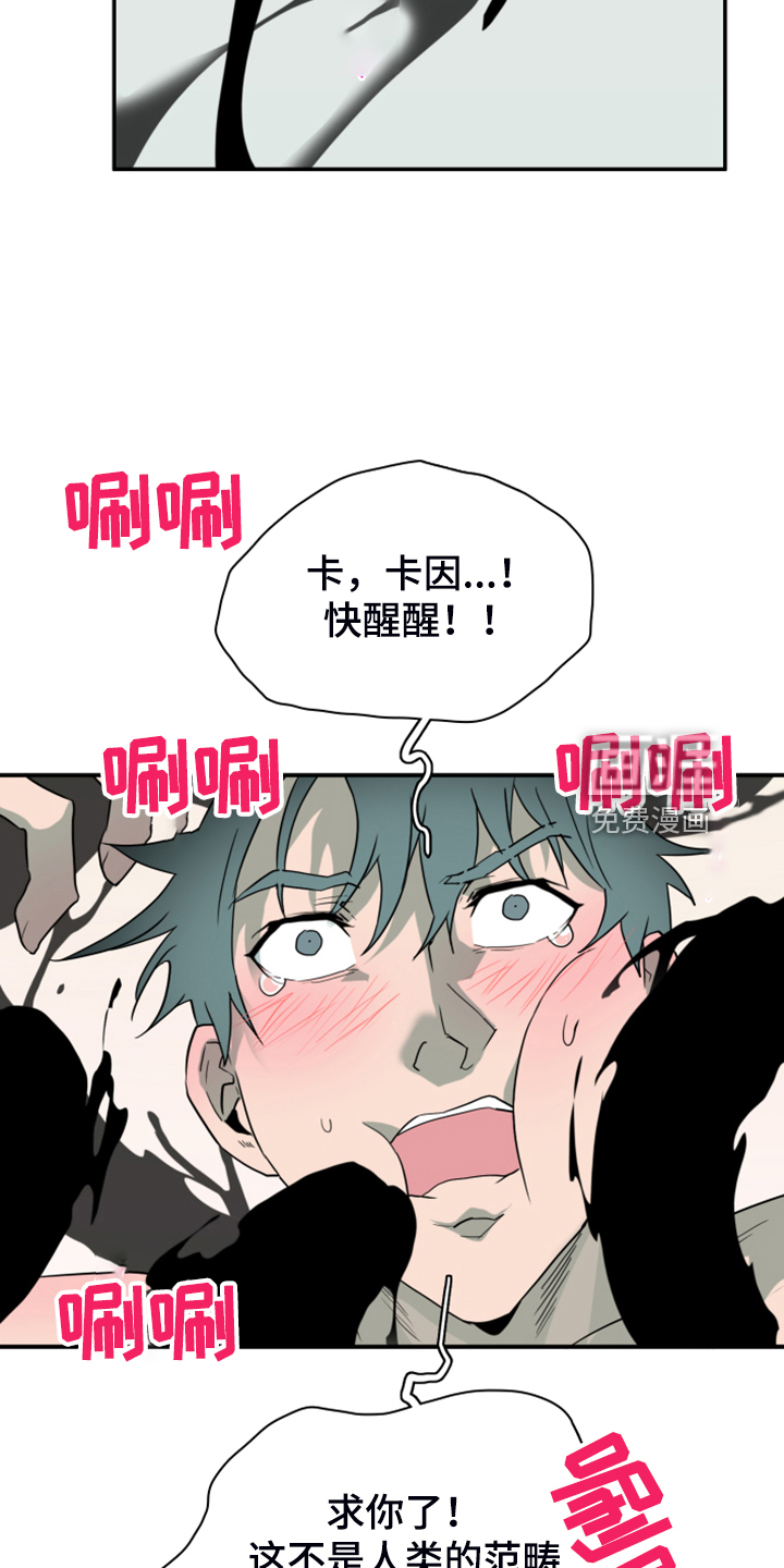 第253话 第17页