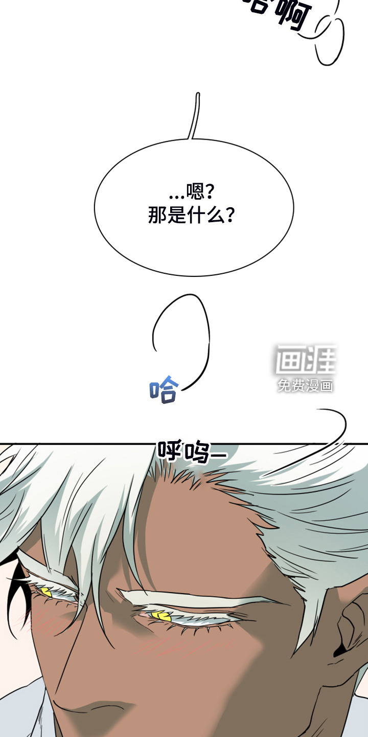 第251话 第25页