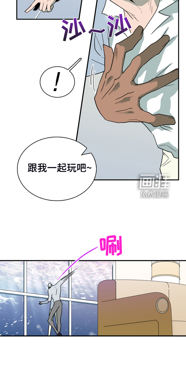 第251话 第17页