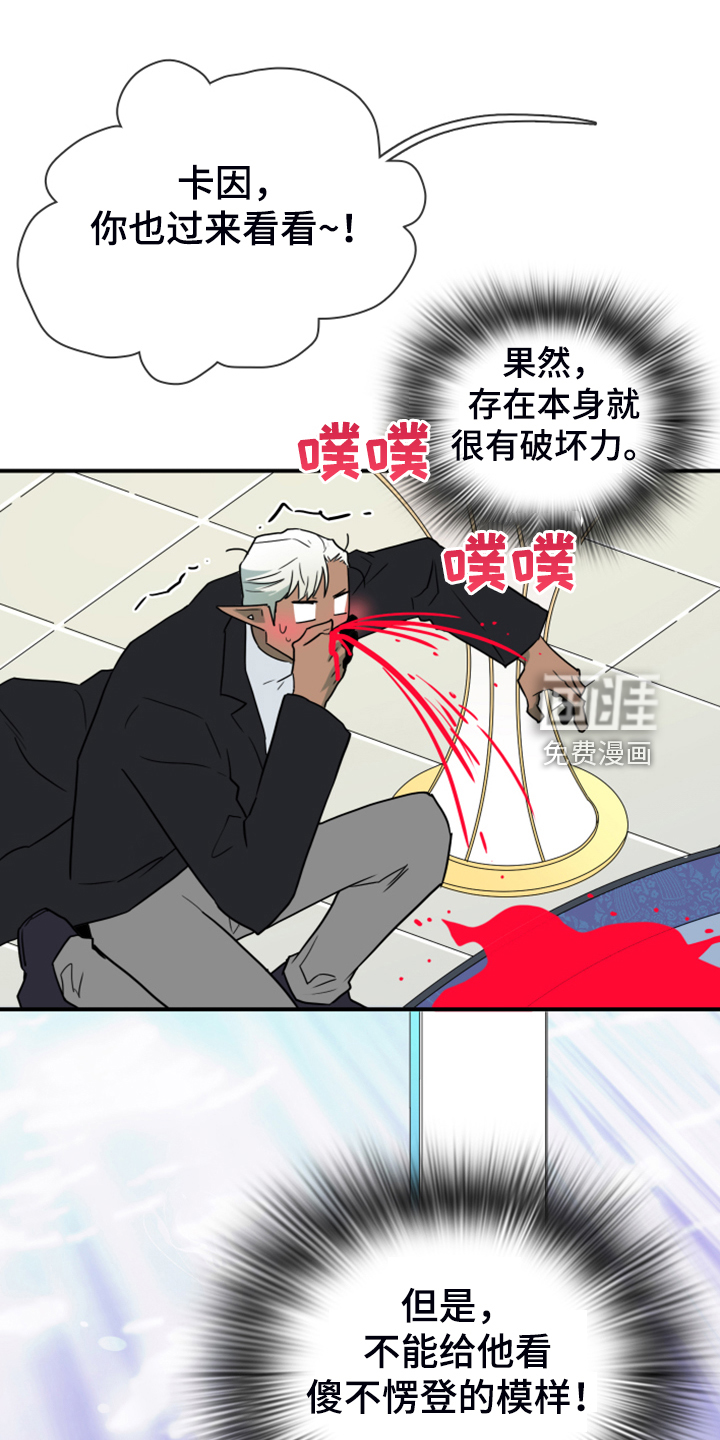 第251话 第14页