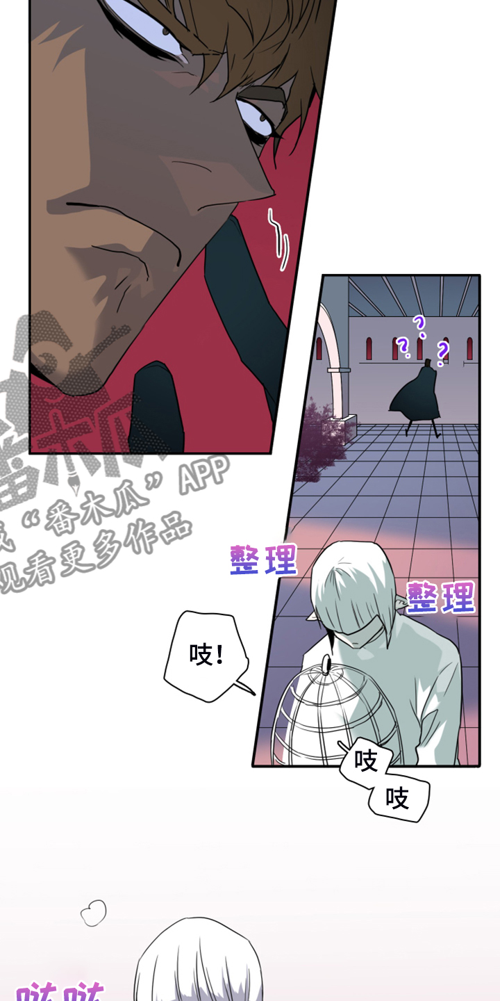 第247话 第34页