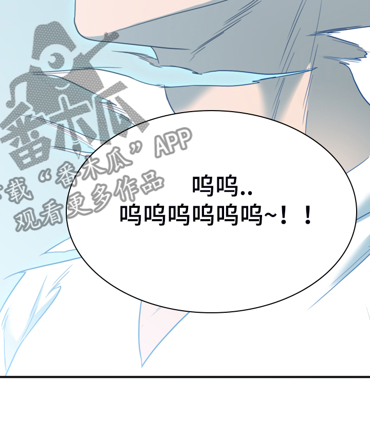 第246话 第21页