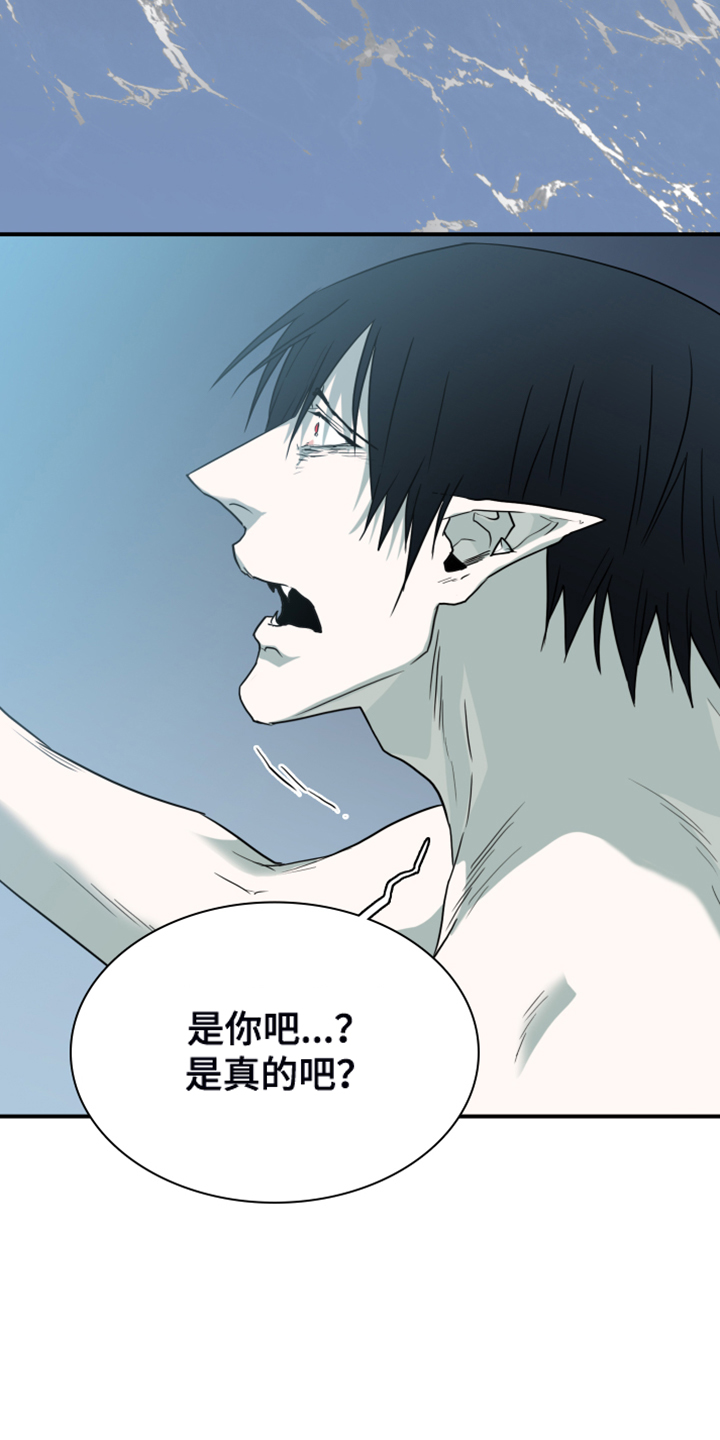 第245话2
