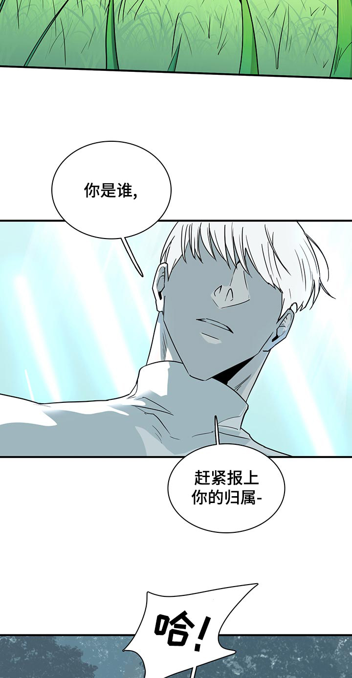 第173话 第5页
