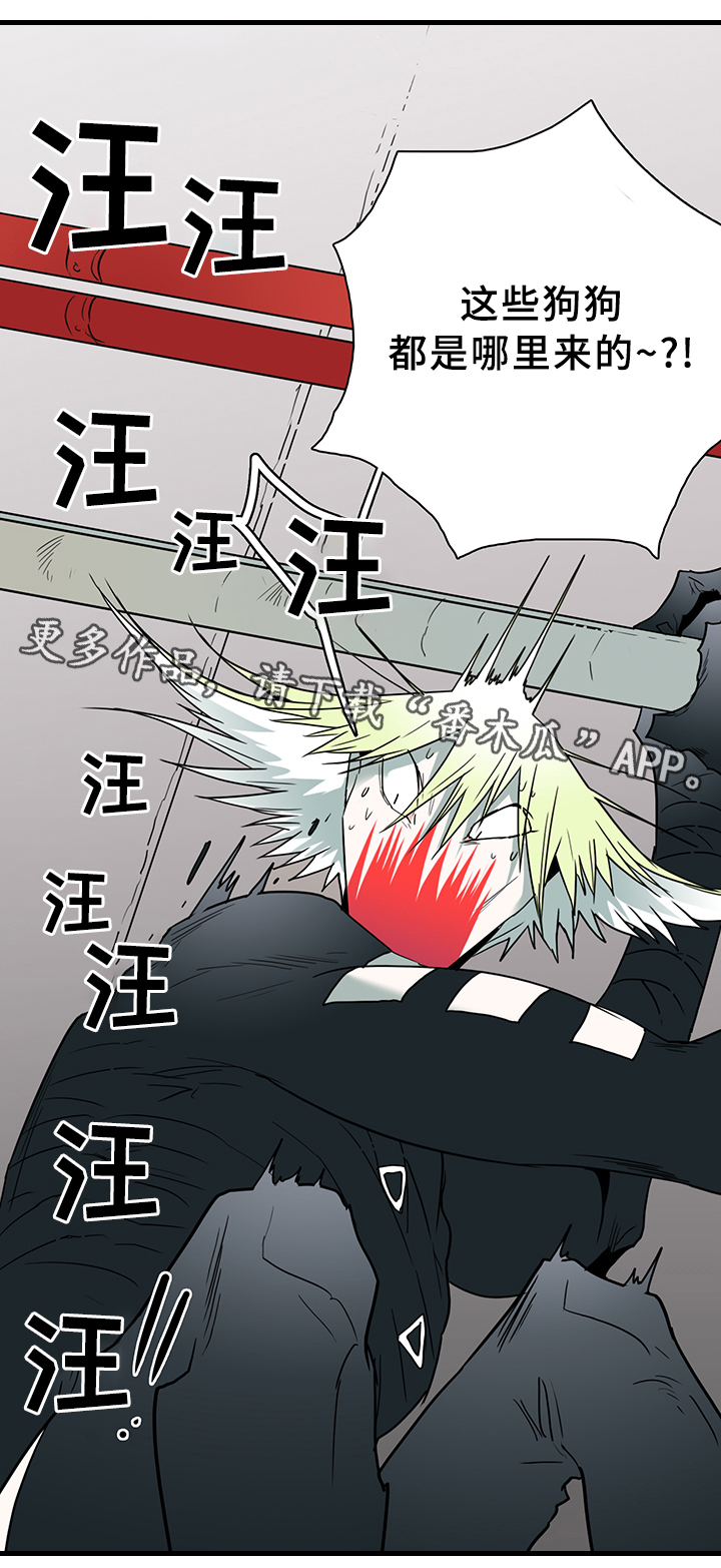 第101话 第11页