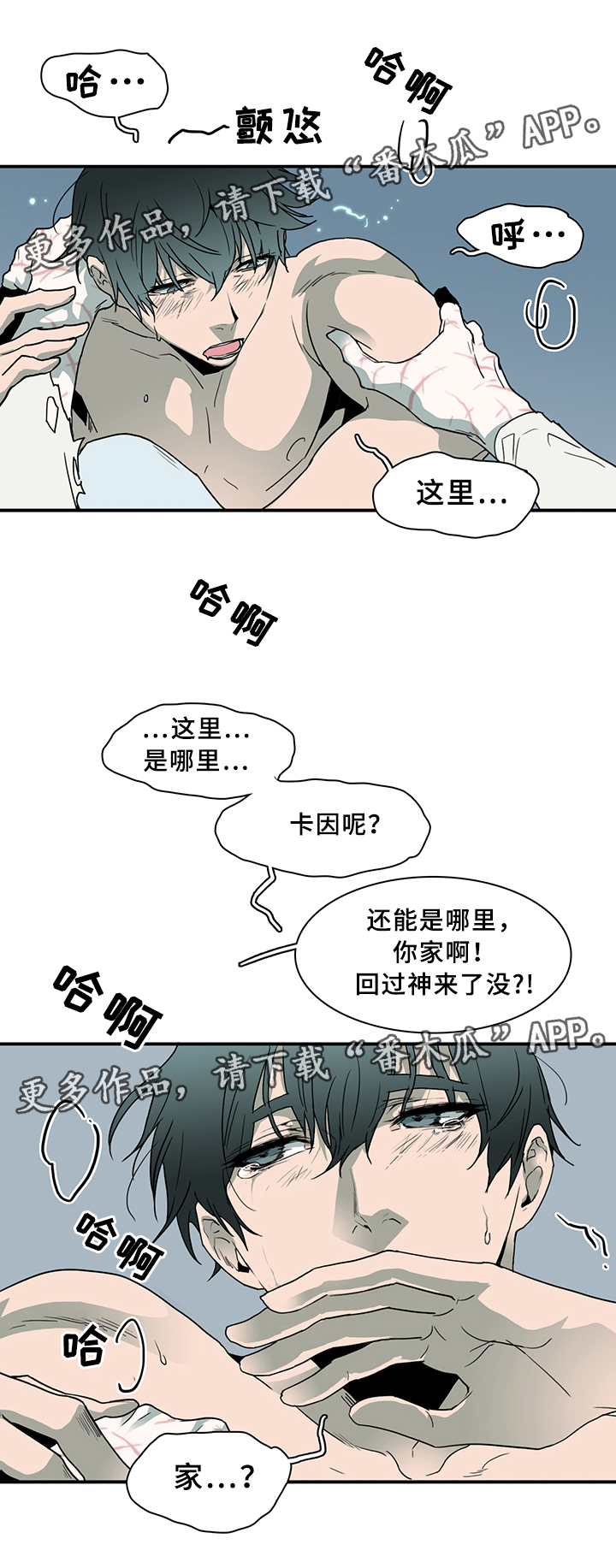 第78话 第21页