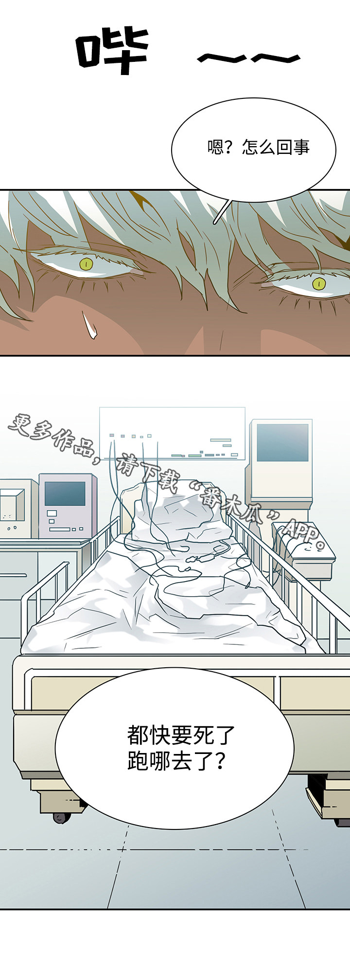 第54话 第5页