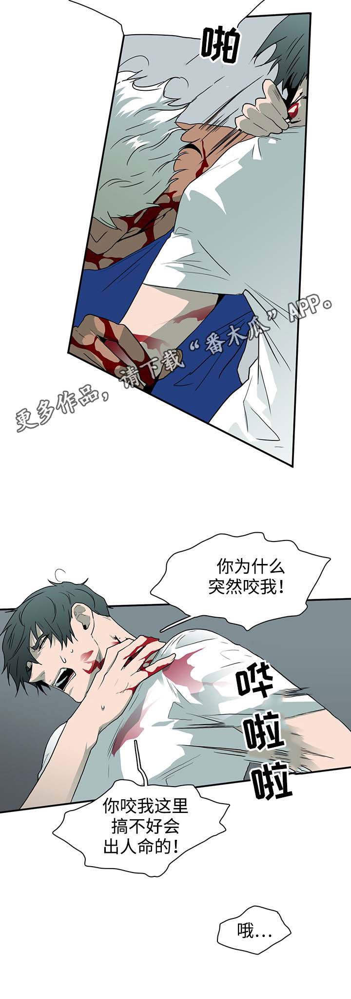 第43话 第13页