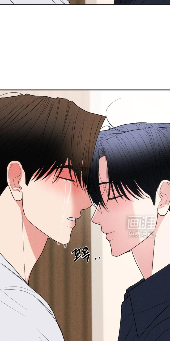 第146话19