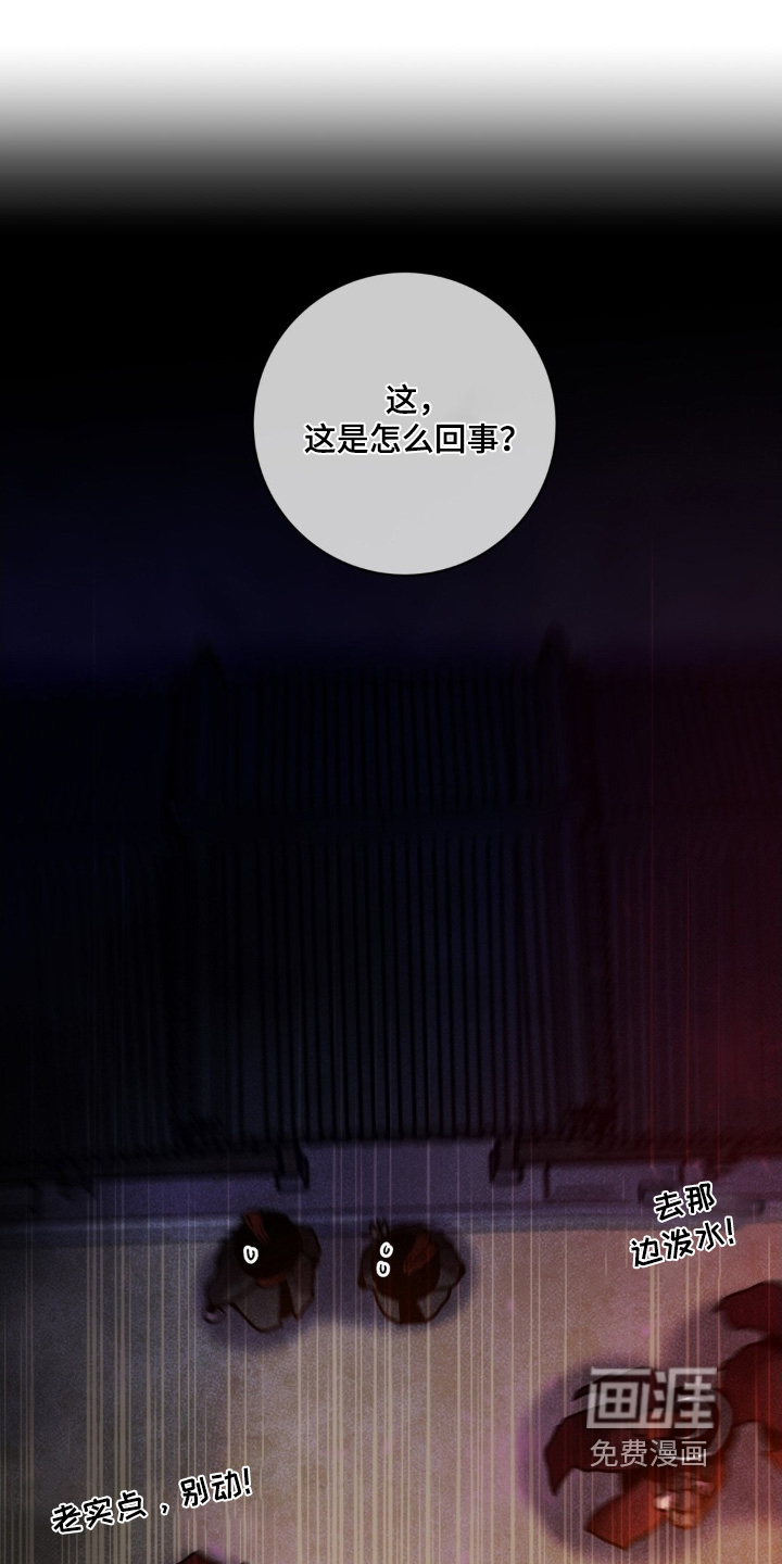 第164话0