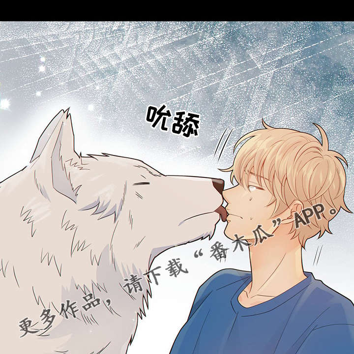 第40话19