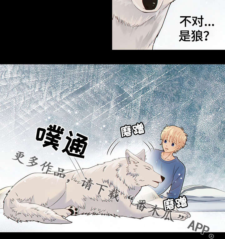 第40话17