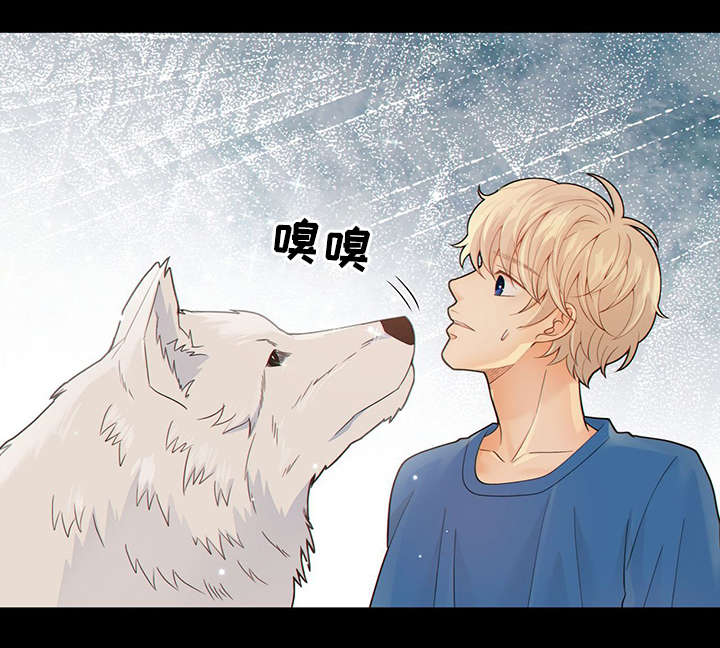 第40话18