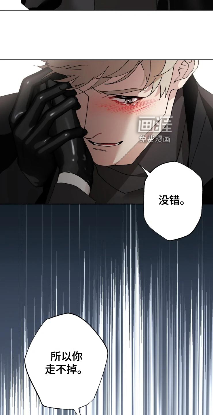 第50话 第20页
