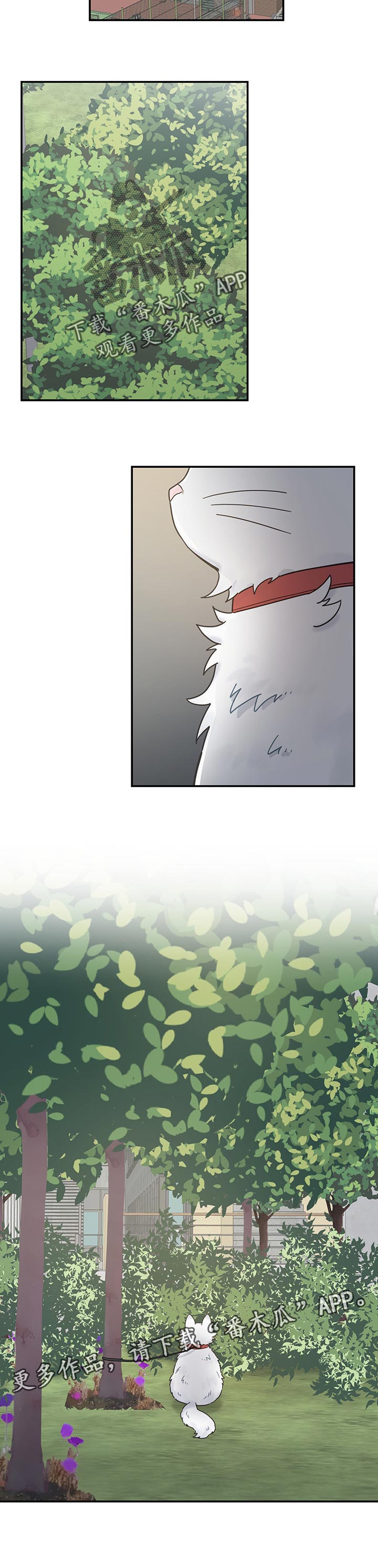 第106话 第11页