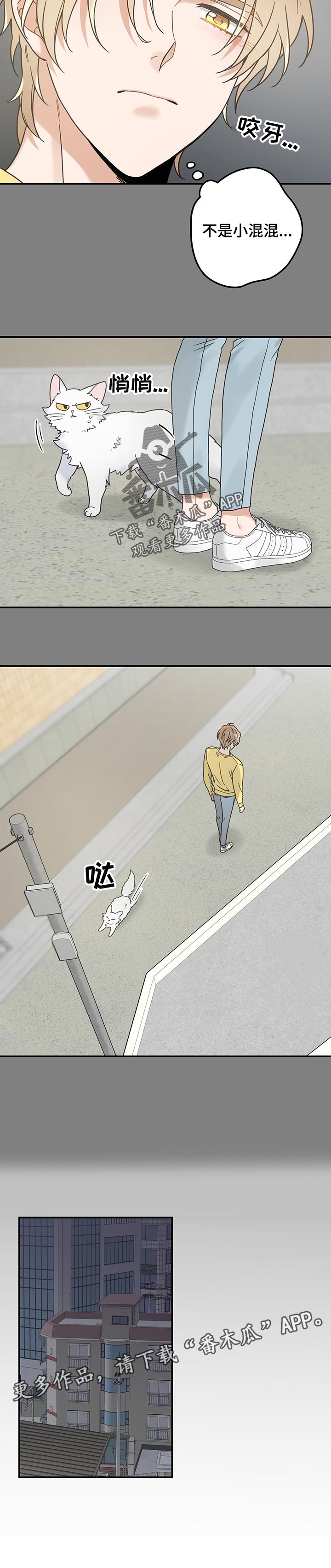 第103话 第11页