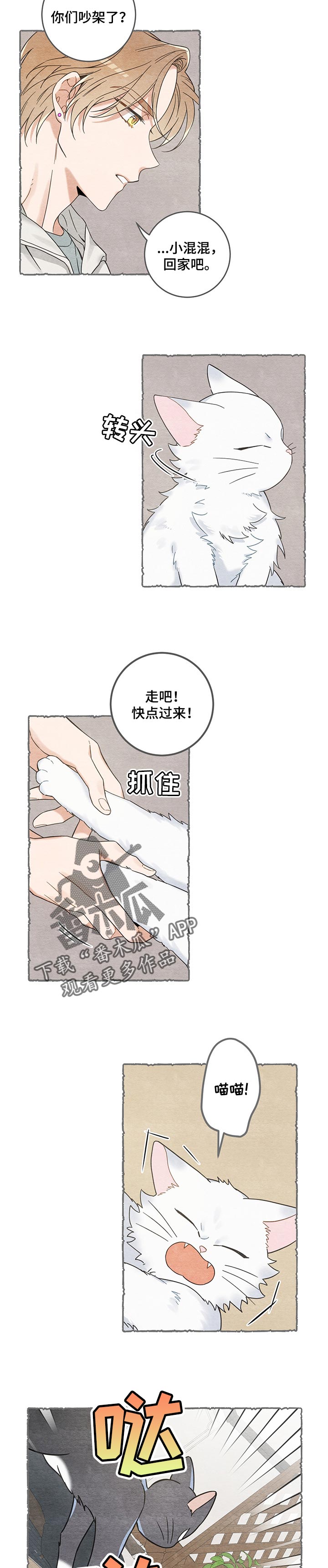 第99话 第6页