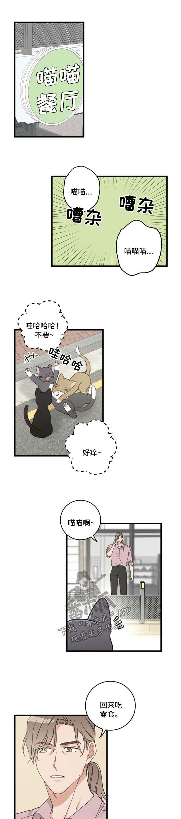 第91话 第5页