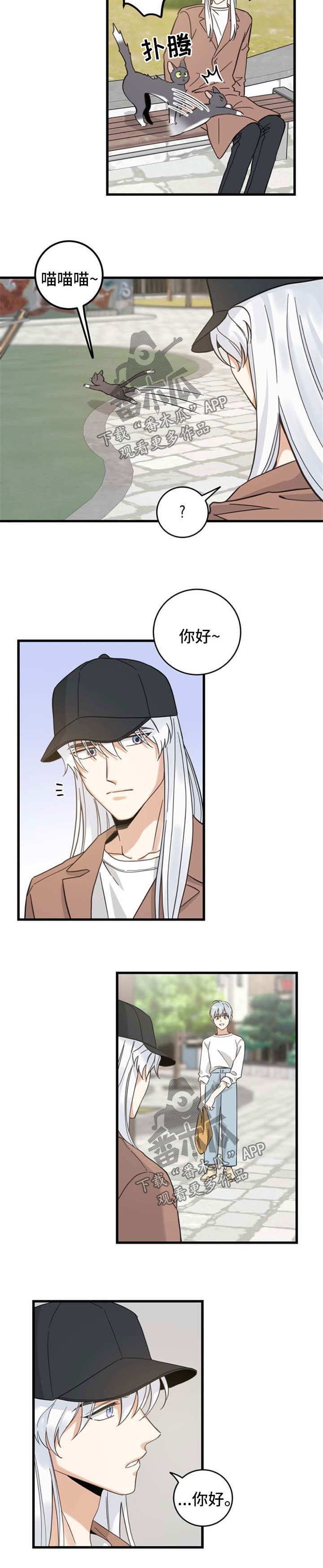 第88话 第4页