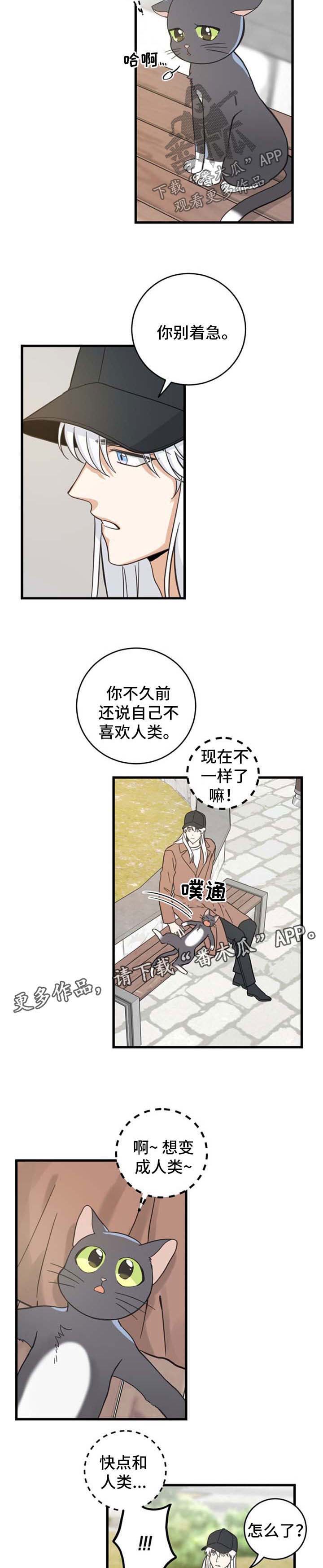 第88话 第3页