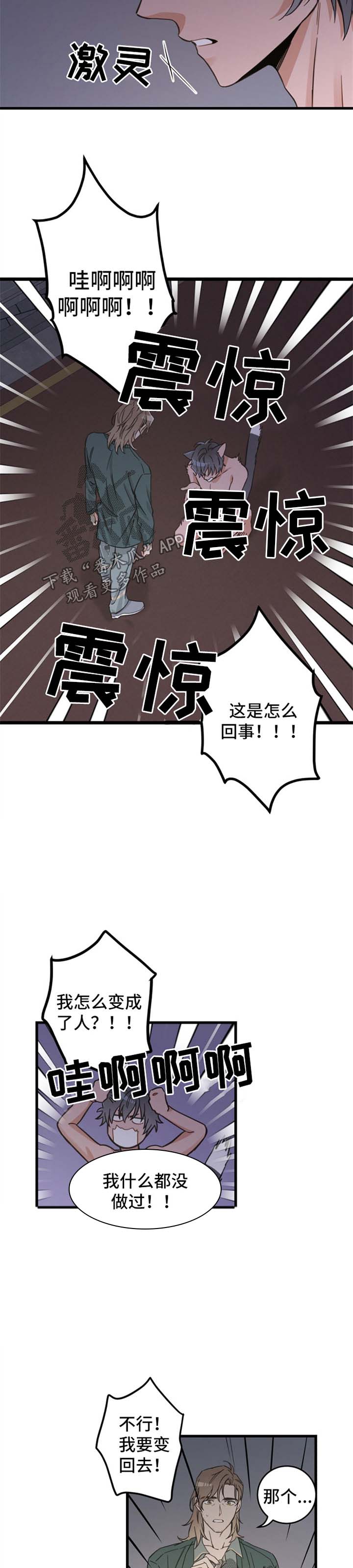 第82话 第4页