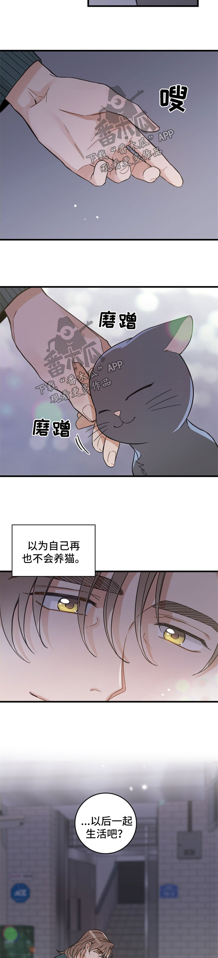 第81话 第6页
