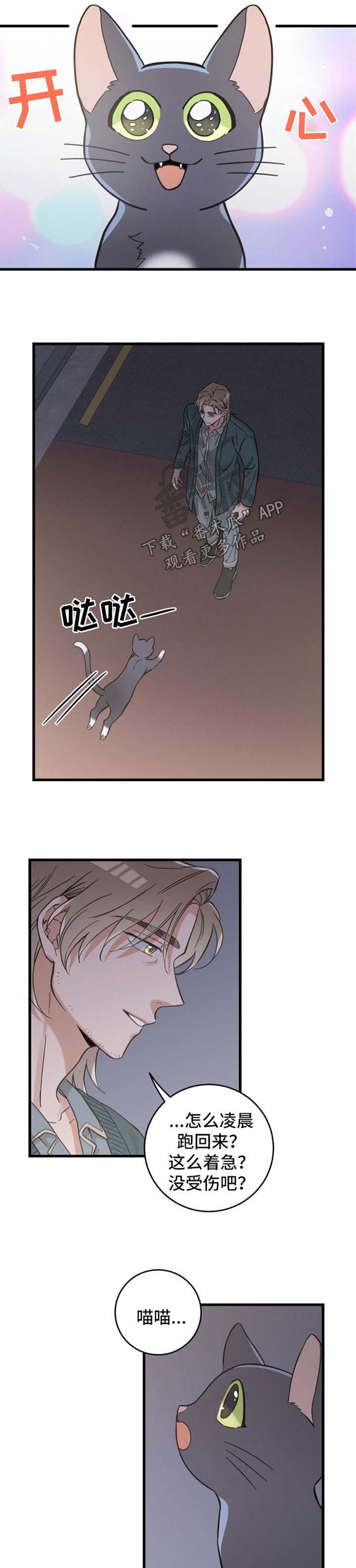 第81话 第5页
