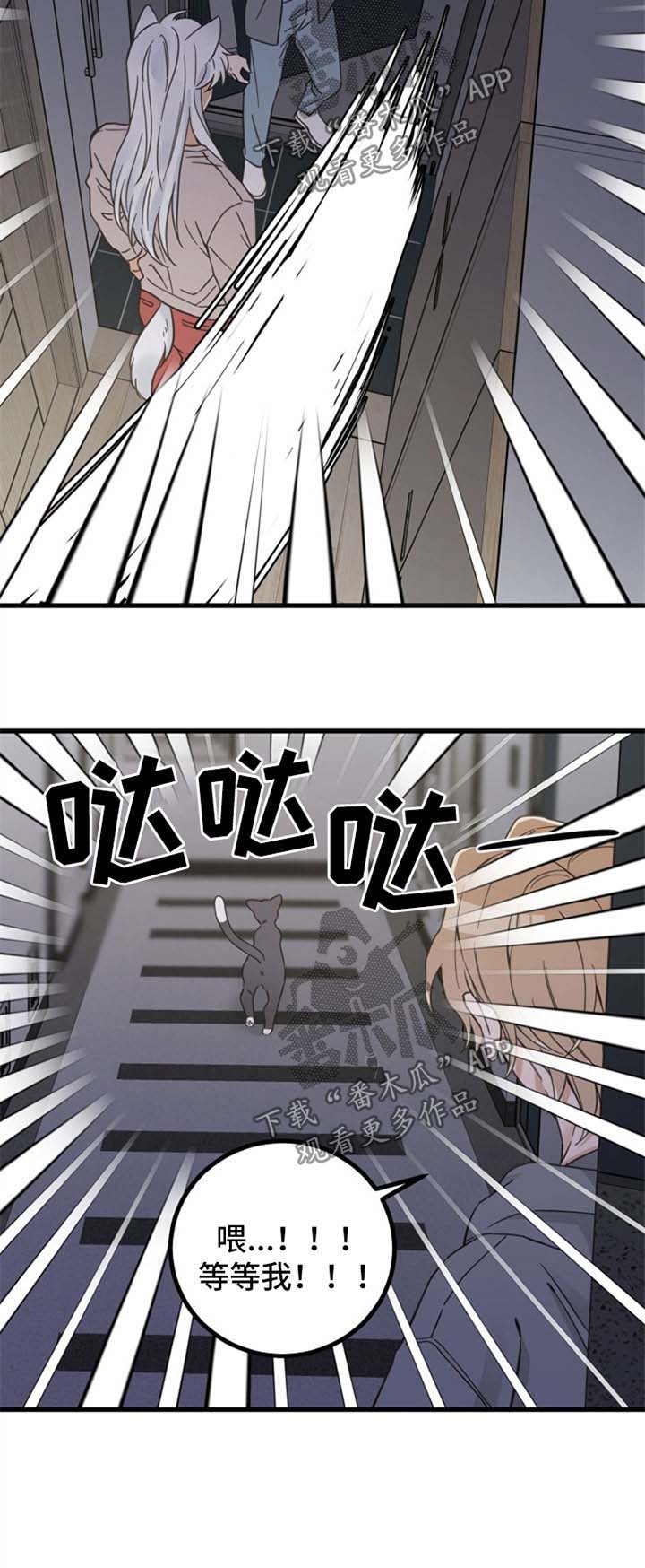 第80话 第11页
