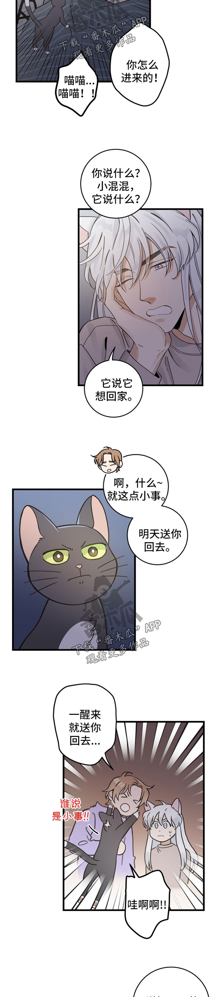 第80话 第8页