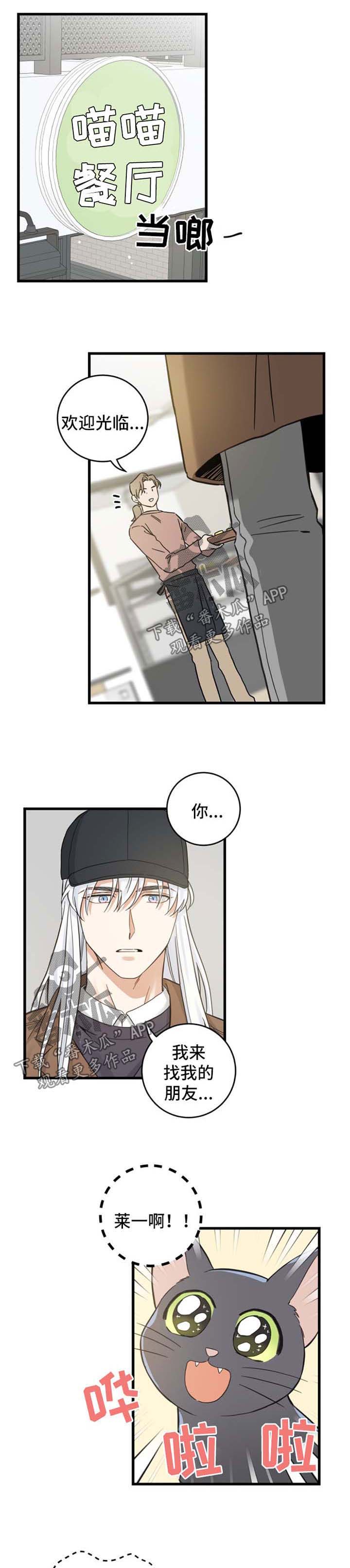 第77话 第3页