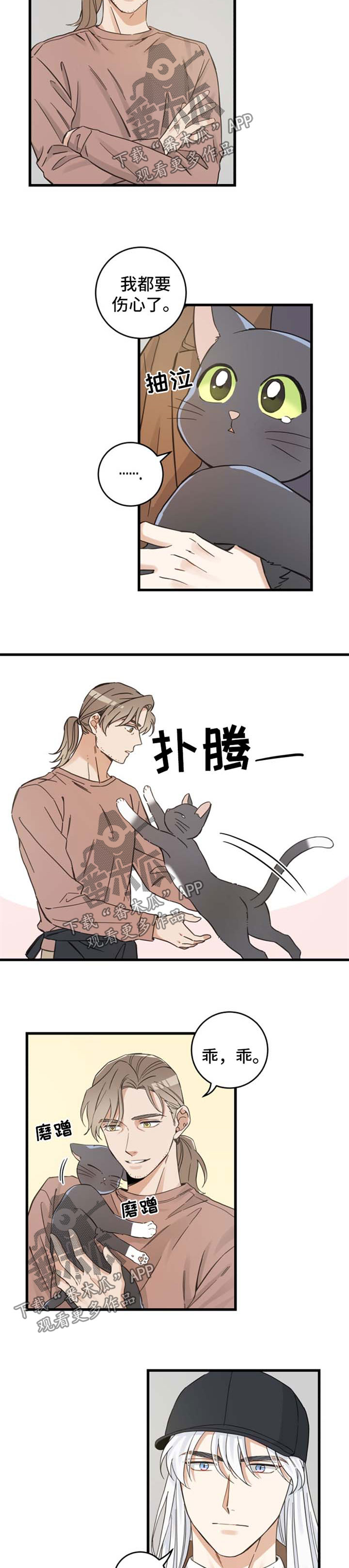 第77话 第5页