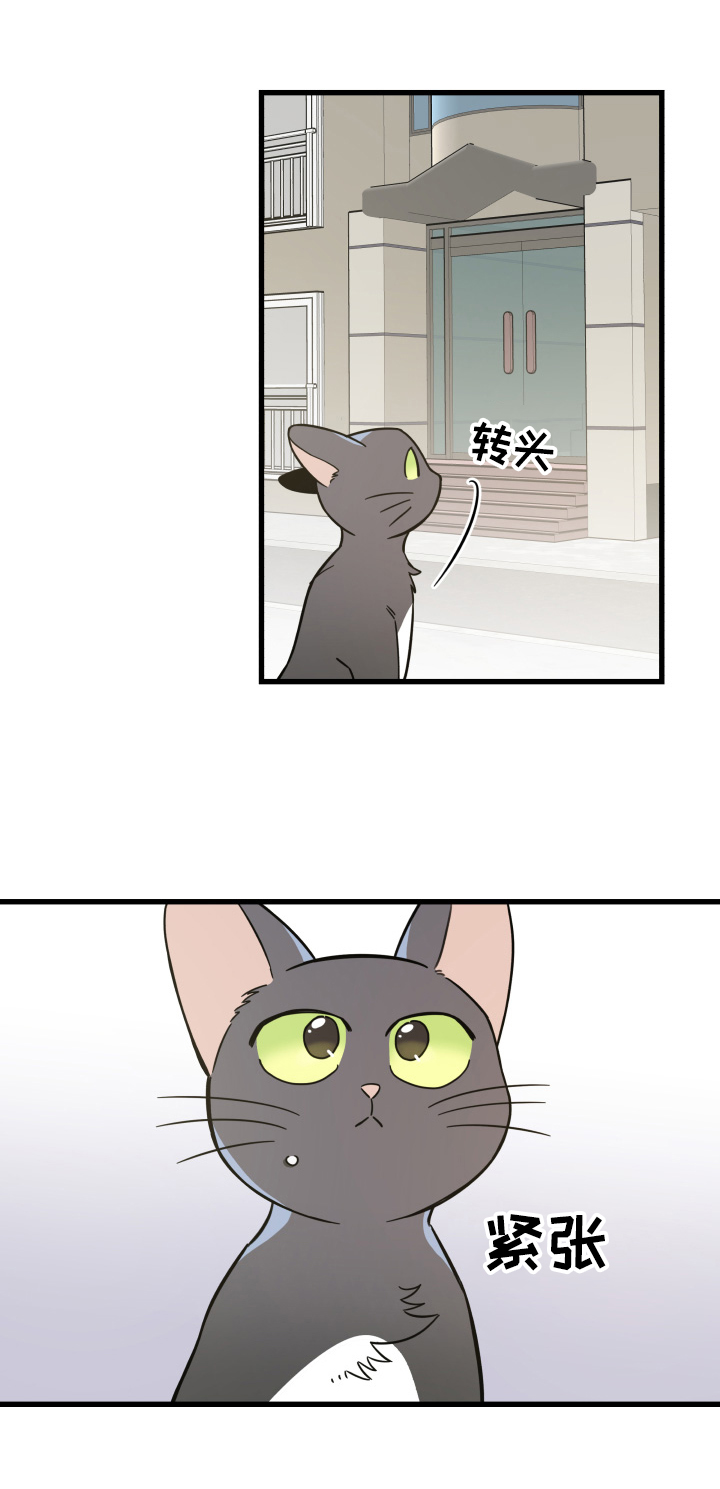 第70话 第3页
