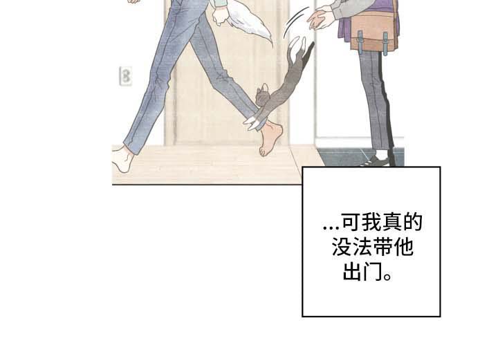 第46话 第13页