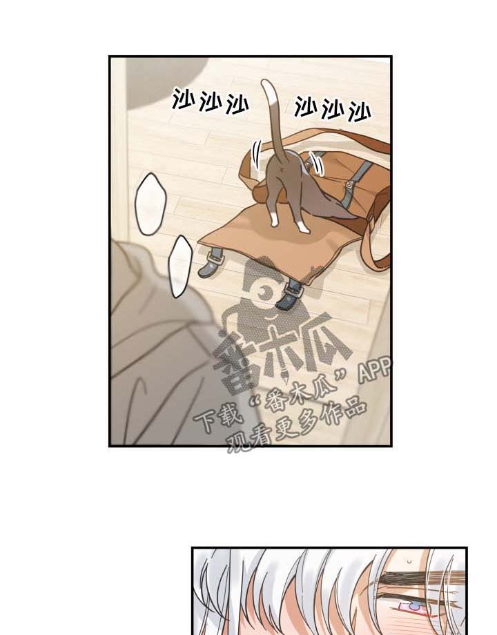 第45话 第7页