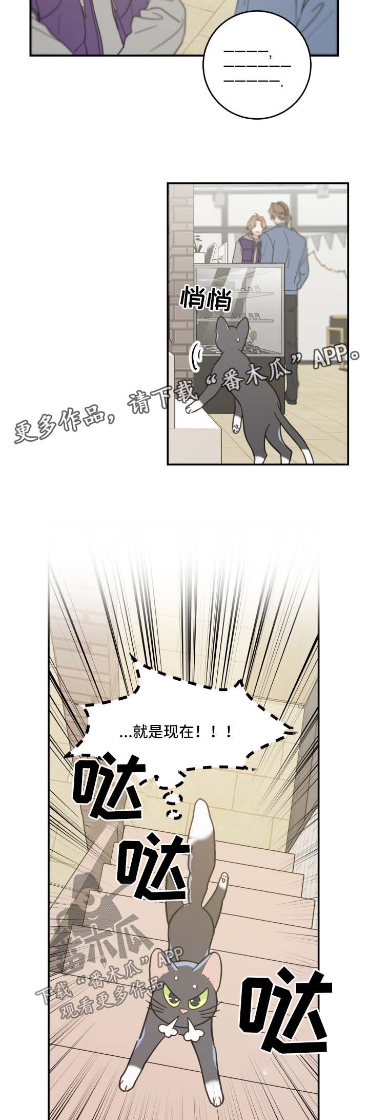 第44话 第3页