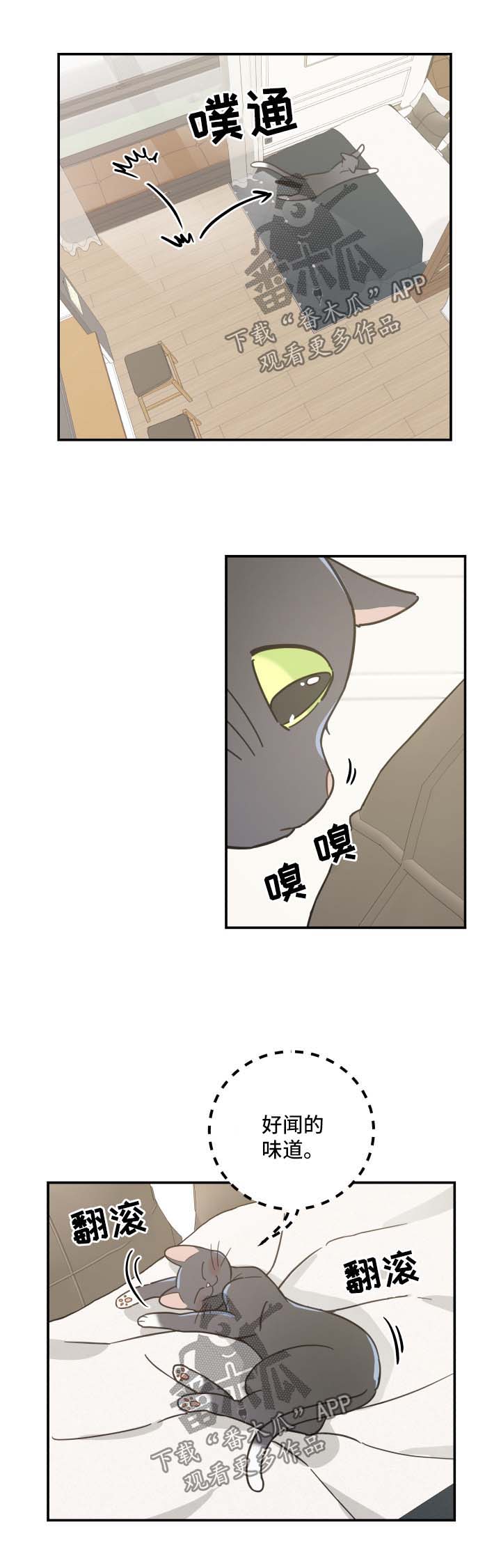 第44话 第7页