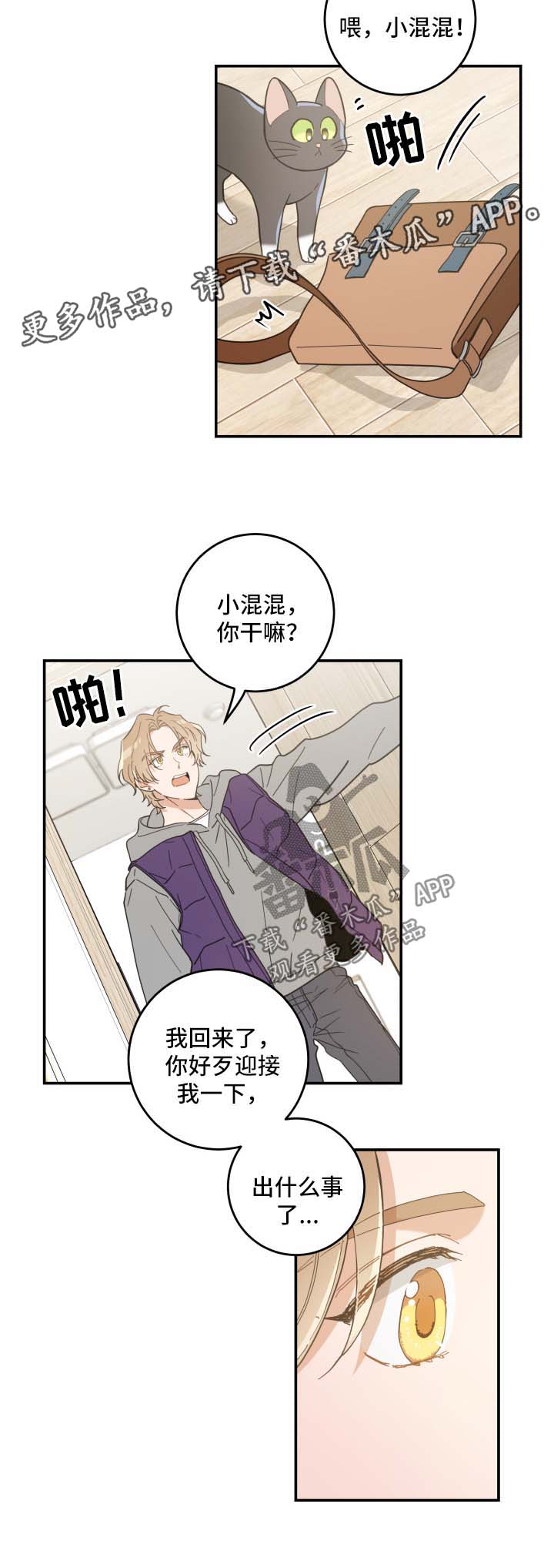 第44话 第12页