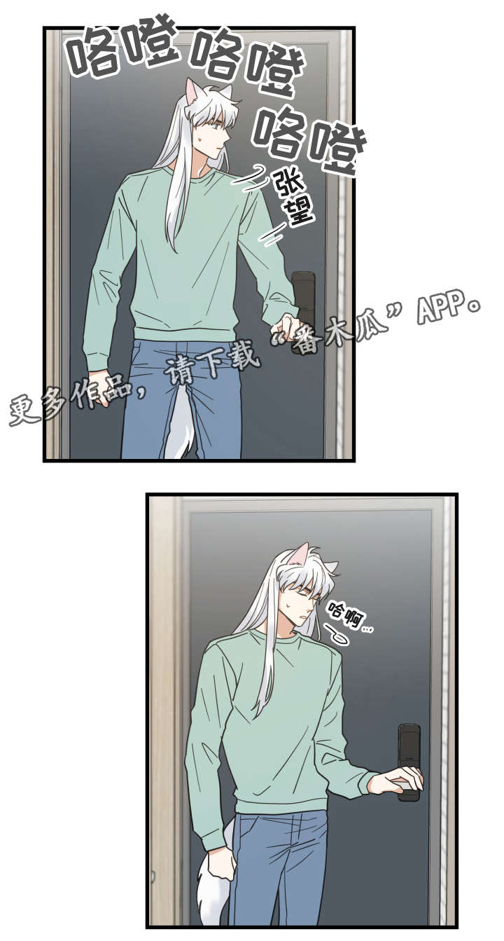 第43话 第4页