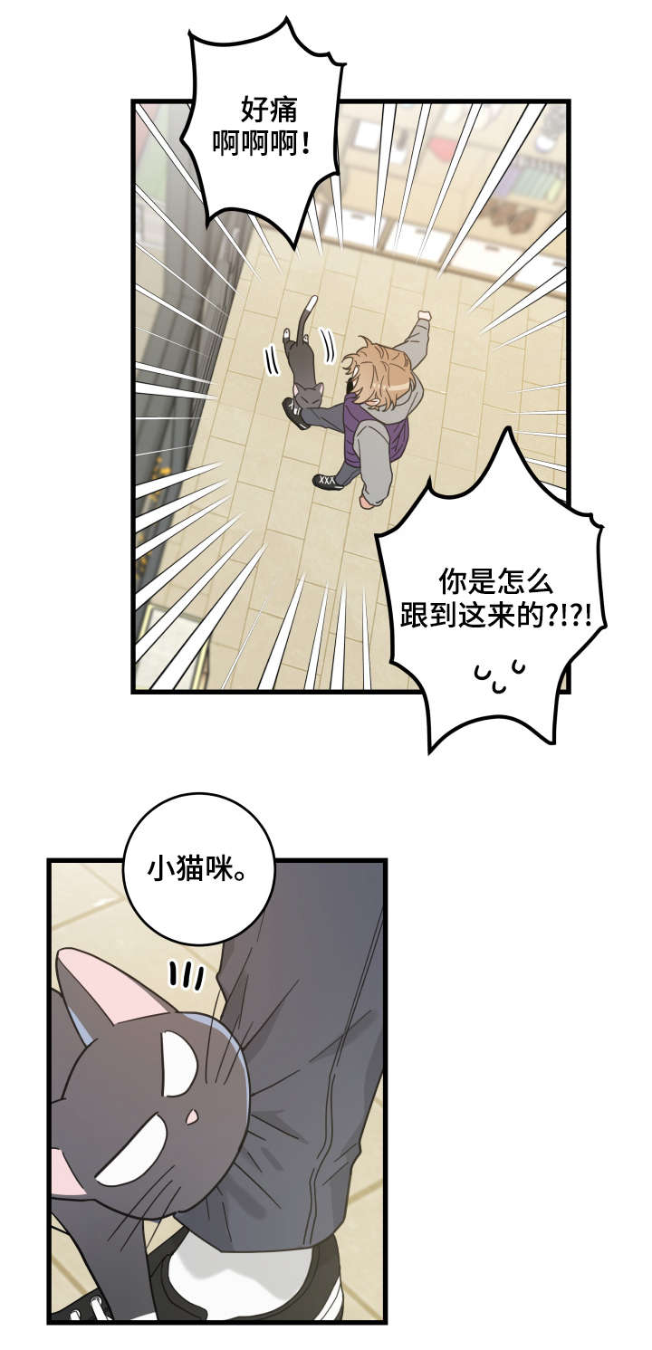 第43话 第12页