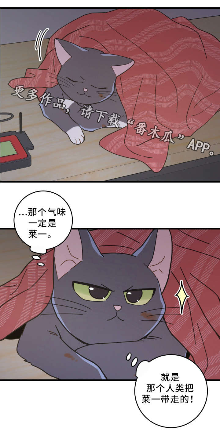 第35话 第8页