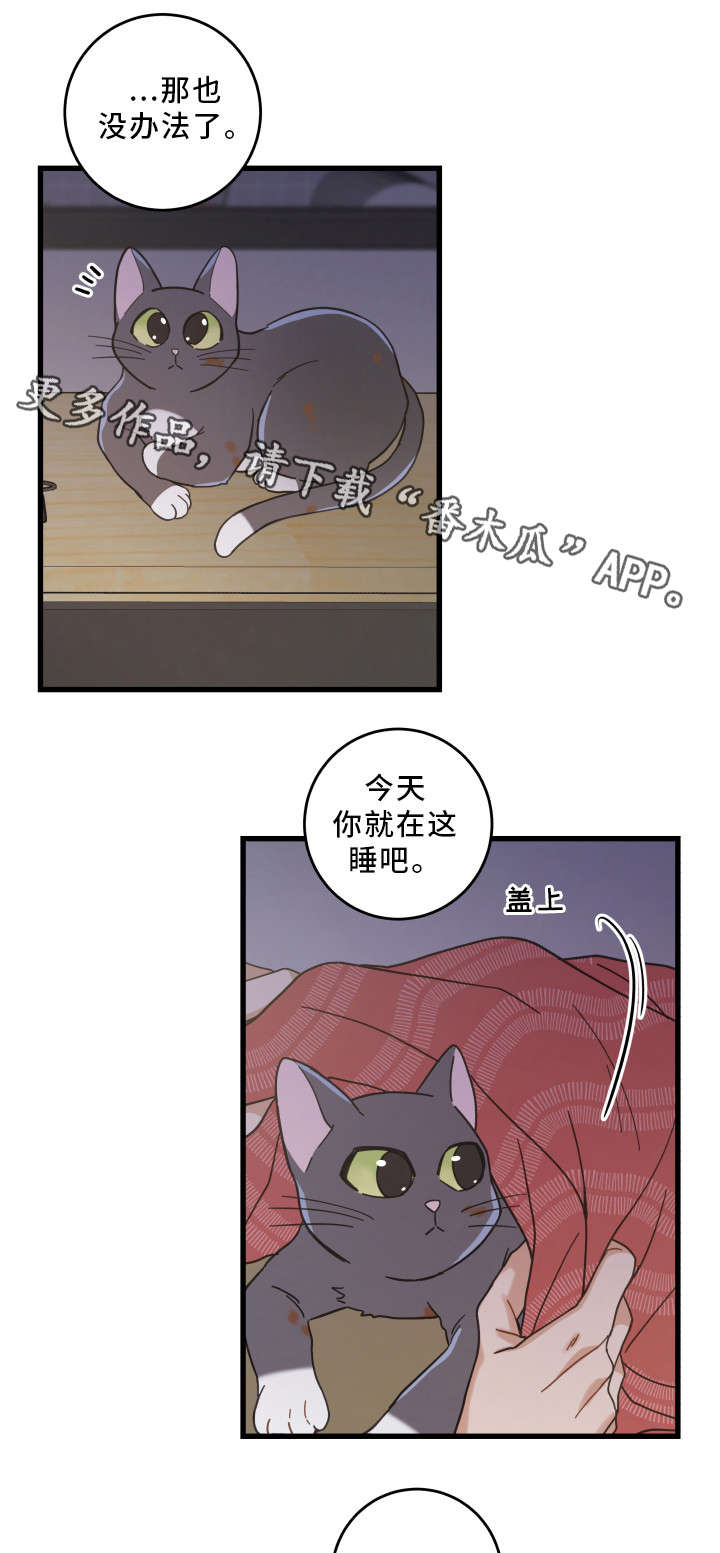 第35话 第6页