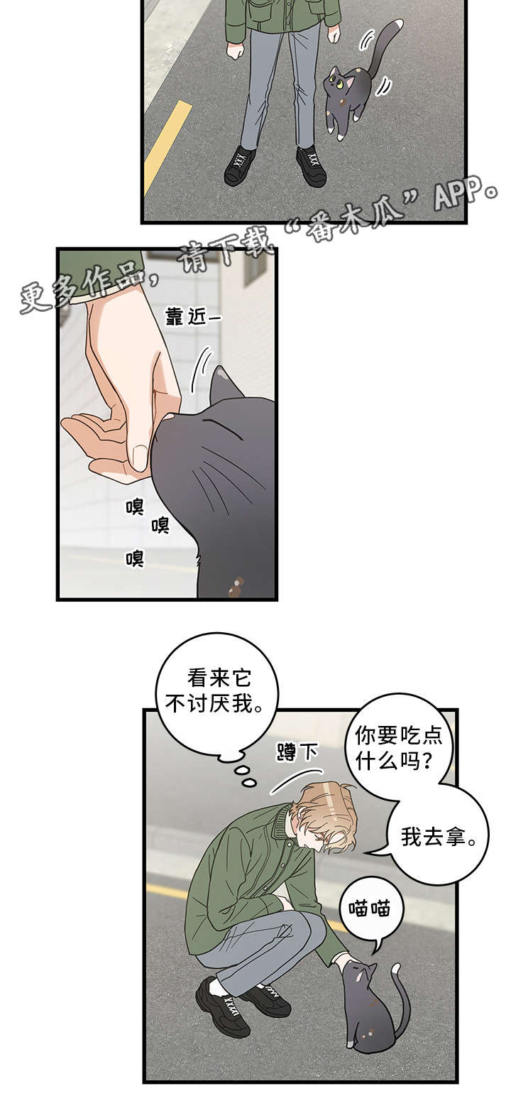 第31话 第11页