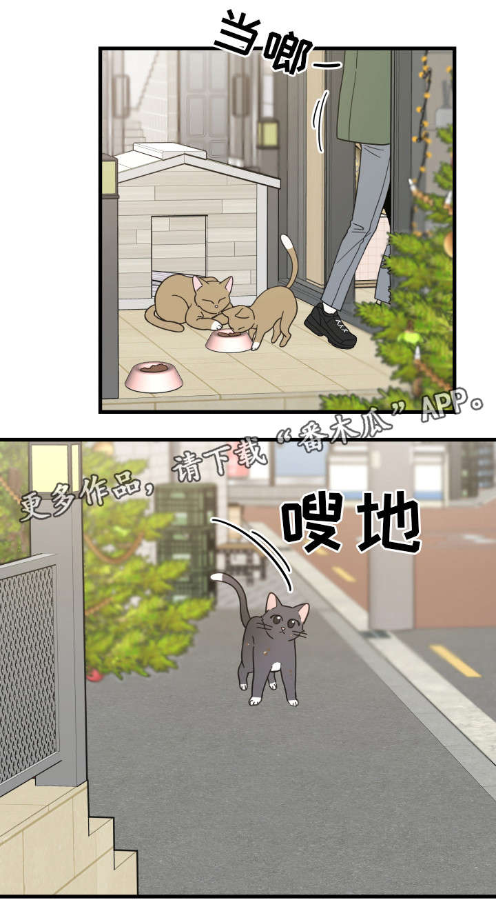第31话 第17页