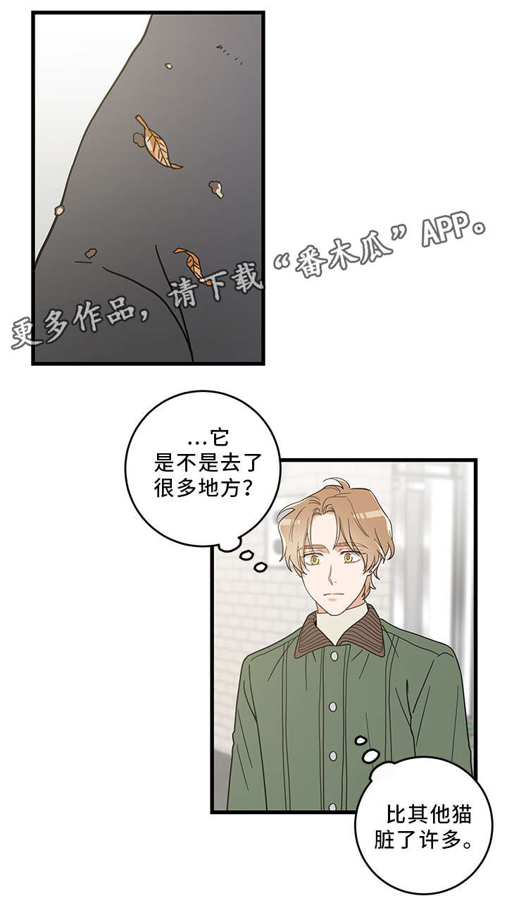 第31话 第9页