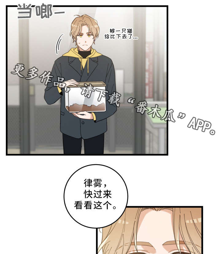 第23话 第13页