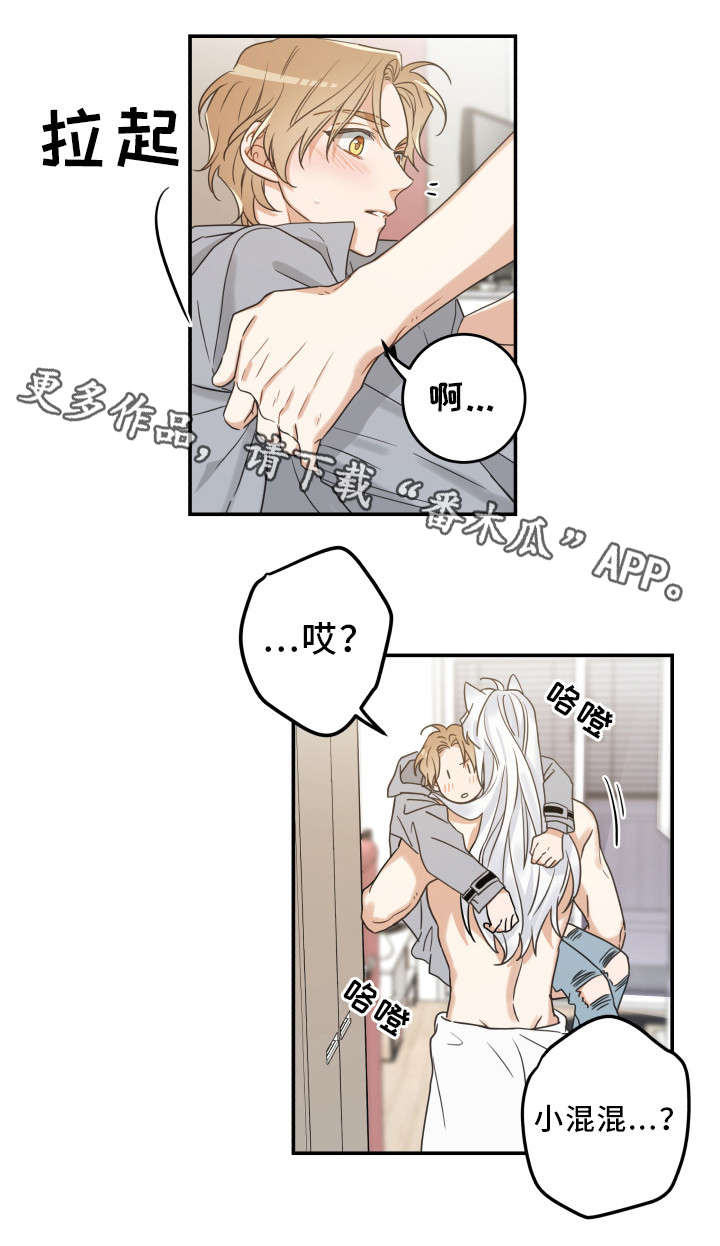 第20话 第8页